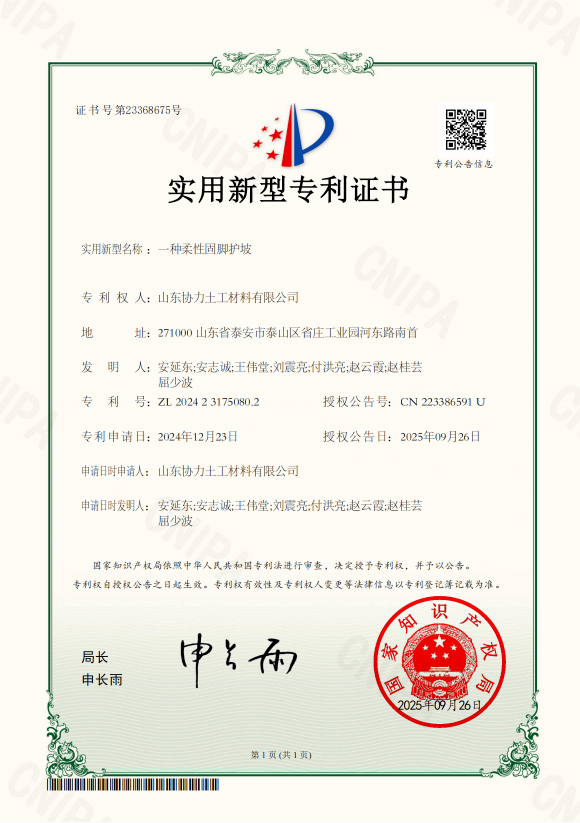 一种柔性固脚护坡